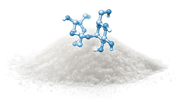 CARBAFIN'S INTEGRATED BIOCATALYTIC GLYCOSYLATION TECHNOLOGY