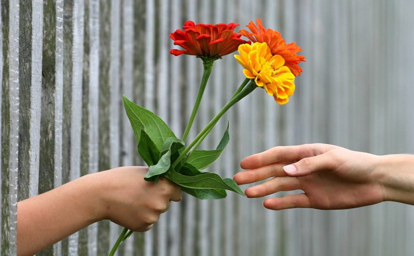 Hand giving flowers: metaphor for donation