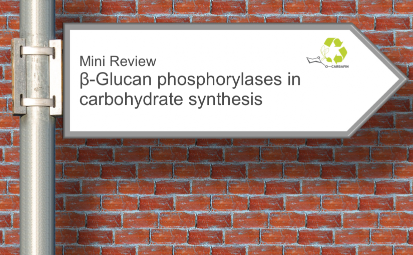 Publication news: b-glucan phosphorylases in carbohydrate synthesis