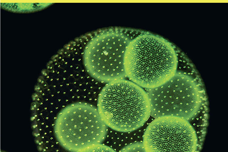 Biotechnology and Bioengineering Cover